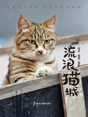 cover image of 流浪猫城 A City of Cats